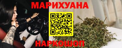 сатива Ставрополь