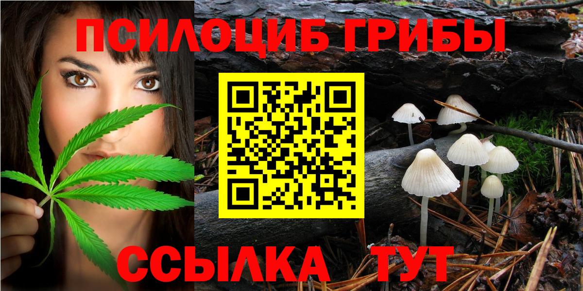 Псилоцибиновые грибы Psilocybe  Вход с VPN  Мариинск 